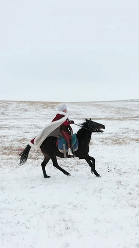 百万打赏用于公益！女副县长雪地策马爆红:已停直播