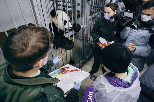 俄罗斯重病男孩许愿拥抱熊猫 总统普京助其圆梦