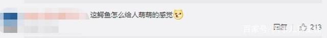 安徽女子河边洗碗遇野生扬子鳄 网友：感觉还挺可爱