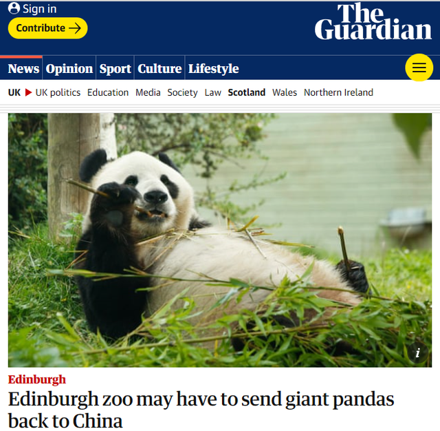 英国考虑将大熊猫送回中国 动物园：疫情期间缺钱，养不起了