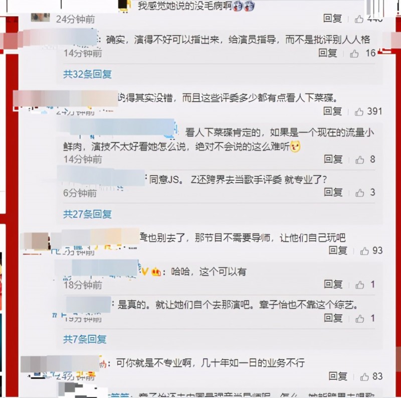 【金莎 不喜欢人家攻击我人格】 网友为何吐槽章子怡?
