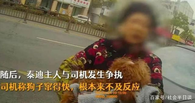 谁来担责?狗狗未拴绳过马路被撞死主人全责,发生了什么?