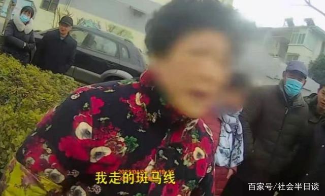 谁来担责?狗狗未拴绳过马路被撞死主人全责,发生了什么?