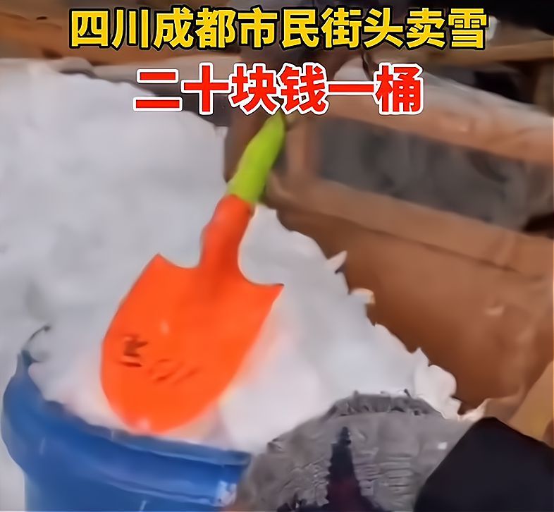 成都市民街头卖雪 北方人疑惑:南方人这是疯了?买回去干嘛?