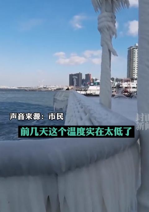 近零下17度！青岛海浪翻涌瞬间被冻住，网友：仿佛时间被冻住