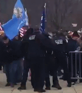 有国会警察被派到放任示威者越过护栏 视频截图