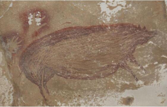 印尼发现已知世界最古老洞穴壁画 世界最古老洞穴动物壁画——一只猪