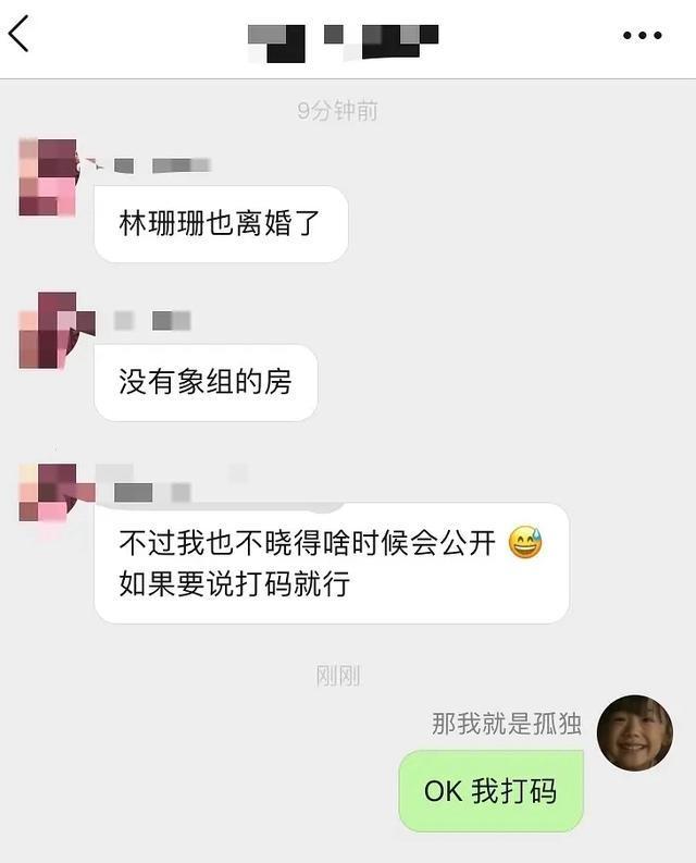 林珊珊大白离婚！两人相恋七年结婚四年，女方吸金能力远胜丈夫