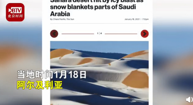 骆驼在撒哈拉沙漠雪中漫步 罕见景象吸引网友围观