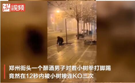 真醉了！醉汉与小树对打12秒被KO三次 又菜又爱玩