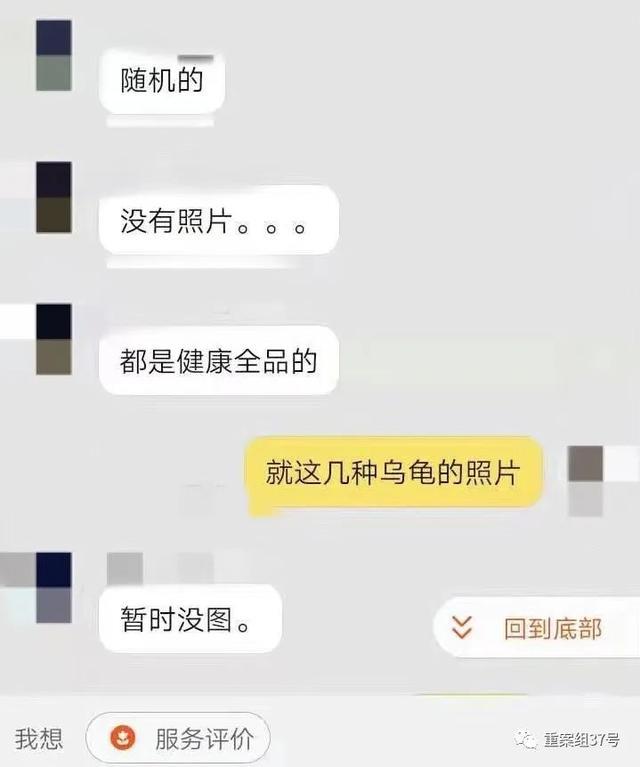 起底活体动物盲盒乱象:售出不退换 这样的行为违法吗？