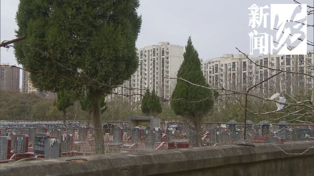 开发商是否有告知义务？上海一小区河景房变墓景房，上百户居民很闹心