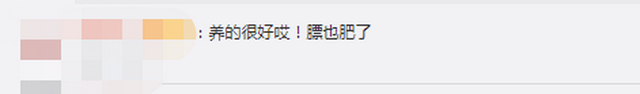 株洲城管没收5匹马8个月花销10万 无奈拍卖还流拍了