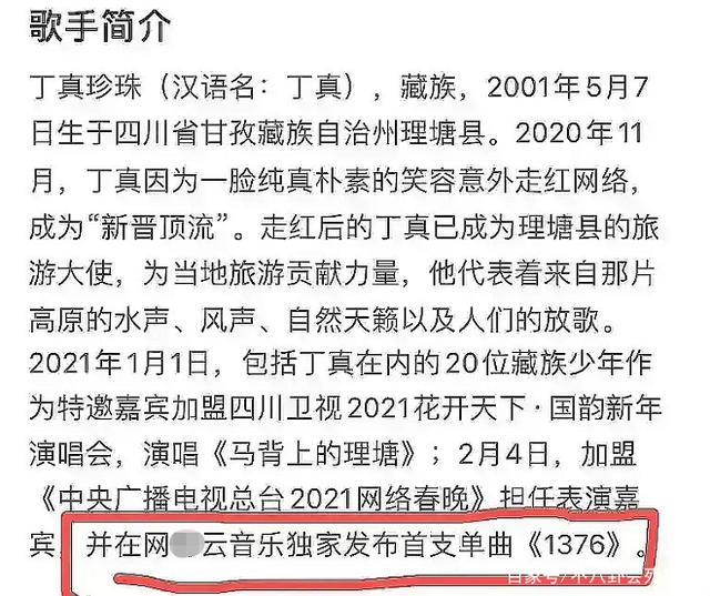 丁真发新歌是什么梗？具体是啥情况？