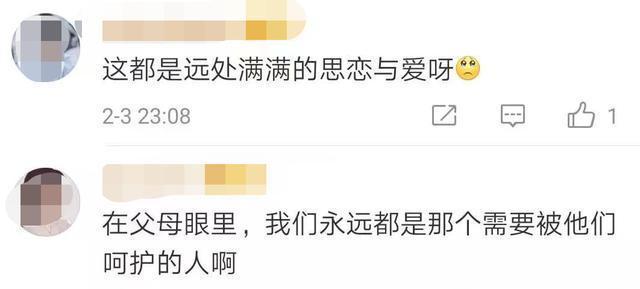 女儿就地过年 爸妈寄来了一头羊 你收到年货了吗？