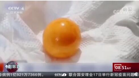 泰国司机海螺里吃出龙珠，估价约175万元人民币【图】