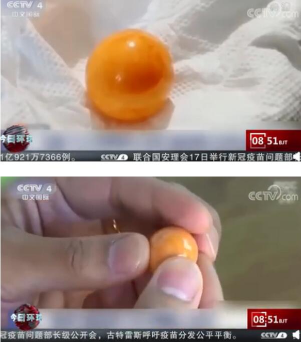 泰国司机海螺里吃出龙珠 橙色珠子价值百万