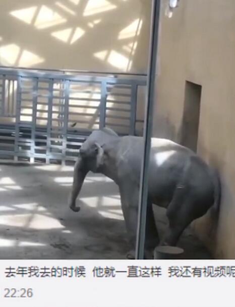 太原动物园大象摇头数月疑抑郁，园方回应说了什么？