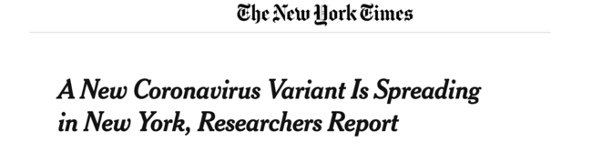 美媒：新冠病毒新变种在纽约迅速传播，可能减弱疫苗效力