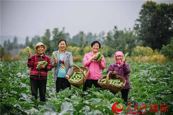 全球复苏背景下的女性领导力