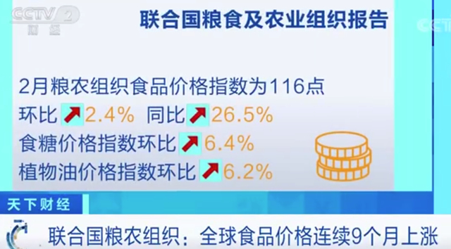 全球食品价格连续9个月上涨 食糖和植物油报价涨幅最大