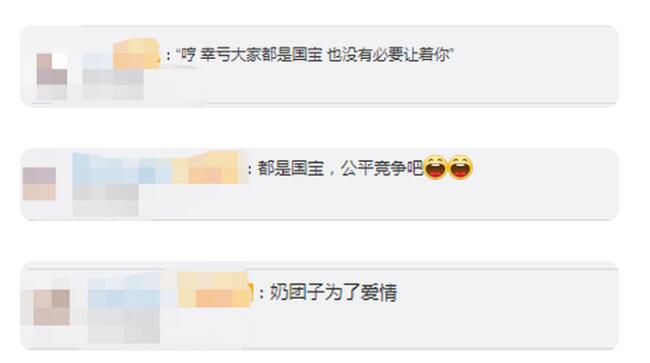 奶团子拼了！野生大熊猫为争配偶激烈打斗 