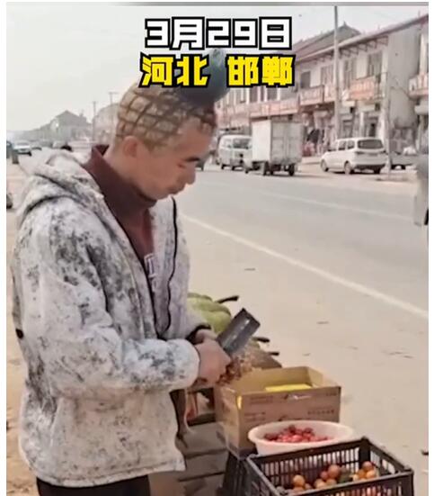 河北小伙理菠萝头卖菠萝效果立竿见影 一天能卖七八百斤