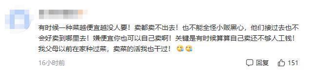 农民夫妻1300斤菠菜只卖了15元 发生了什么?