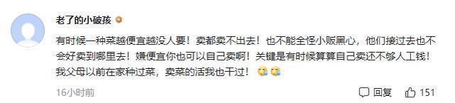 农民夫妻1300斤菠菜只卖了15元 发生了什么?