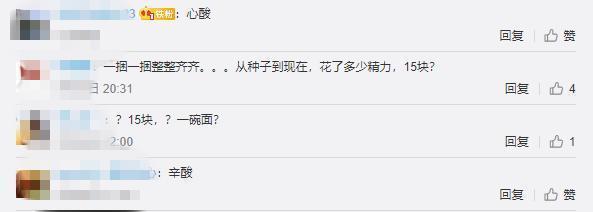 农民夫妻1300斤菠菜只卖了15元 发生了什么?