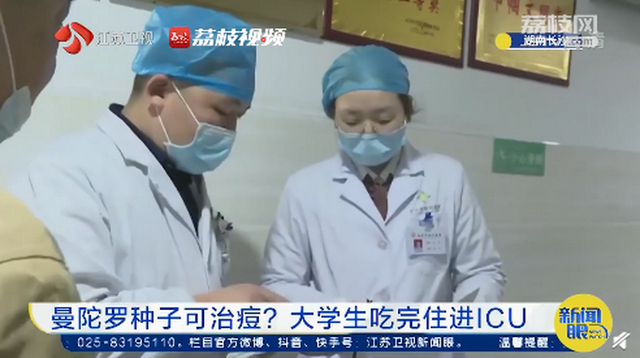 不要乱吃!湖南一大学生吃曼陀罗种子祛痘住进ICU