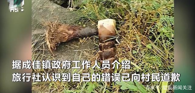 真滴夺笋啊!游客挖竹笋遭村民索赔1根1万 游客涉盗窃村民非敲诈