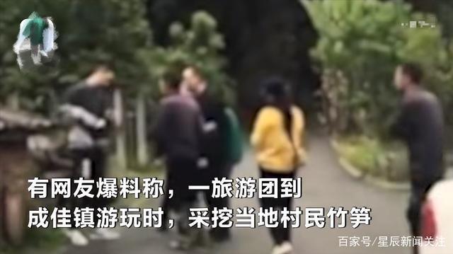 真滴夺笋啊!游客挖竹笋遭村民索赔1根1万 游客涉盗窃村民非敲诈