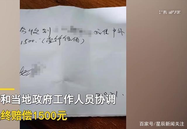 真滴夺笋啊!游客挖竹笋遭村民索赔1根1万 游客涉盗窃村民非敲诈