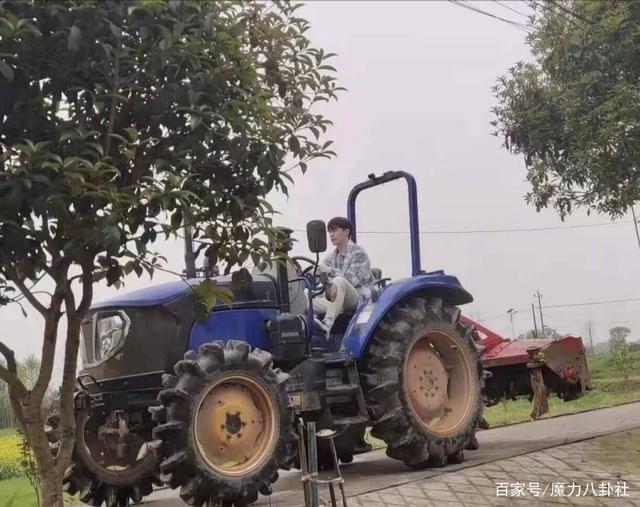 蘑菇屋再添新成员！向往的生活第五季定档 魔性宣传片引网友期待