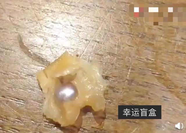 广东一女子饭店吃蚌肉发现珍珠！网友直呼幸运：真蚌肉，真珍珠