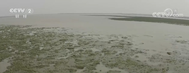 受近期降雨影响 鄱阳湖正式结束枯水期