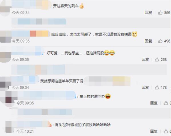 人间烟火气！四川一火车上有猪羊成群穿行，具体啥情况？