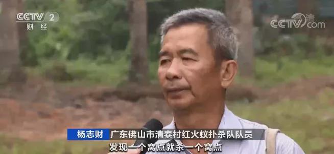红火蚁入侵12个省份!红火蚁泛滥有农作物产量或损失40%