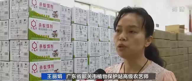 红火蚁入侵12个省份!红火蚁泛滥有农作物产量或损失40%