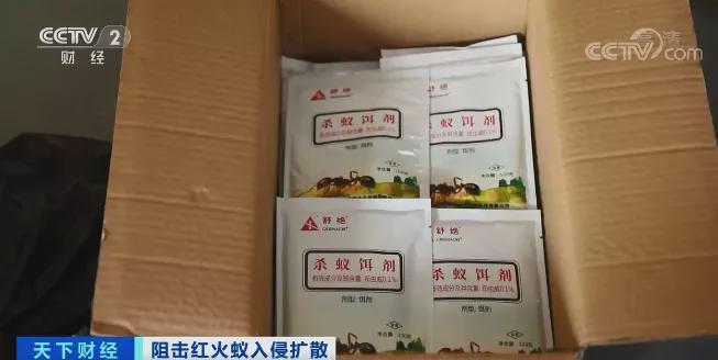 红火蚁入侵12个省份!红火蚁泛滥有农作物产量或损失40%