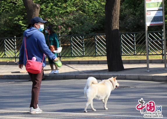 5月新规来了将影响你我的生活：网络直播要纳税 外出遛狗须拴绳