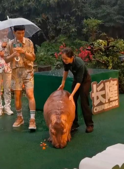 “雨神”本神！萧敬腾在广州参加活动下大雨引热议