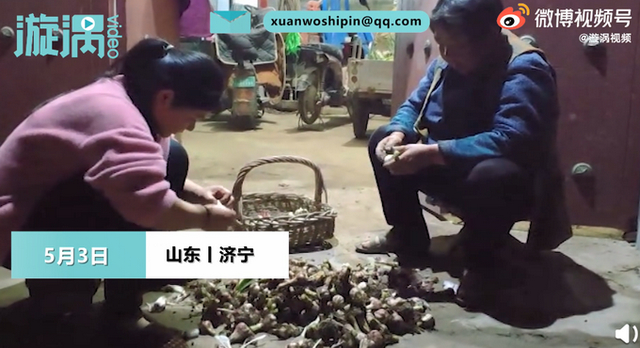 满满的都是爱!女儿五一返程妈妈送40斤大蒜,你的后备箱里装了什么?