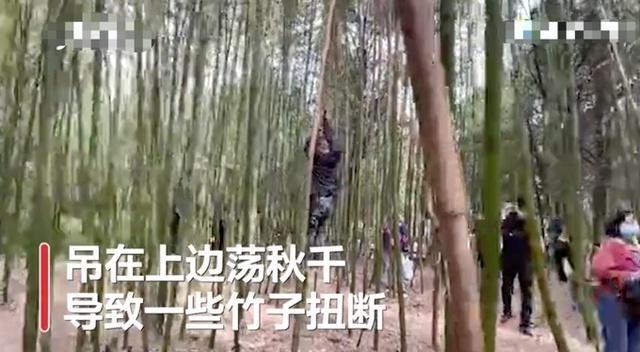 太不文明了！少林寺竹林被上百游客刻字，还有人吊在上面荡秋千