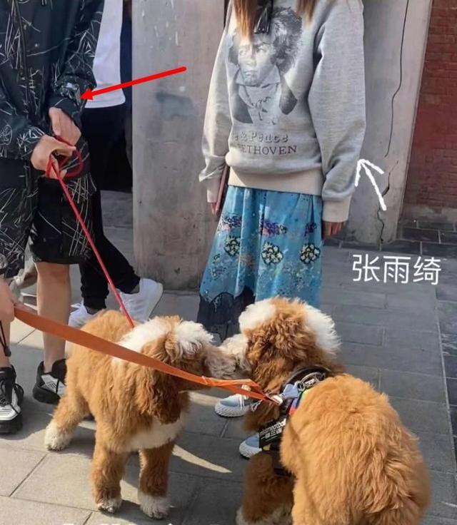 张雨绮与小8岁的男友李柄熹遛狗 被认出后闪人