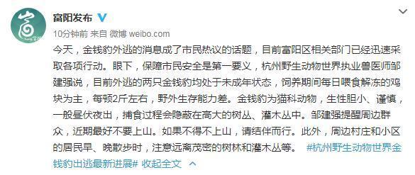 杭州第二只出逃豹子被麻醉捕获 官方辟谣被咬死为假消息！