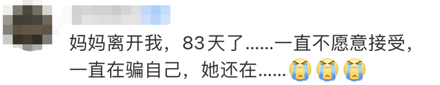 民警谈男孩离家去坟地看妈妈 这一幕让无数网友泪