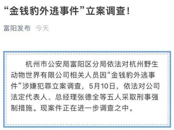 整改不到位绝不开园！金钱豹外逃事件立案调查 5人被采取刑事强制措施