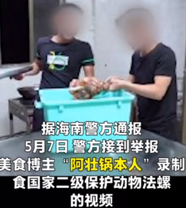 【咋还不长记性】警方通报博主食用二级保护动物法螺：刑拘！